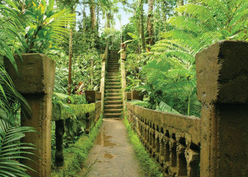 Приключенческий парк Паронелла, Австралия – фотографии Австралии