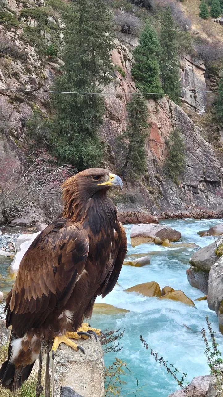 3 – фотографии