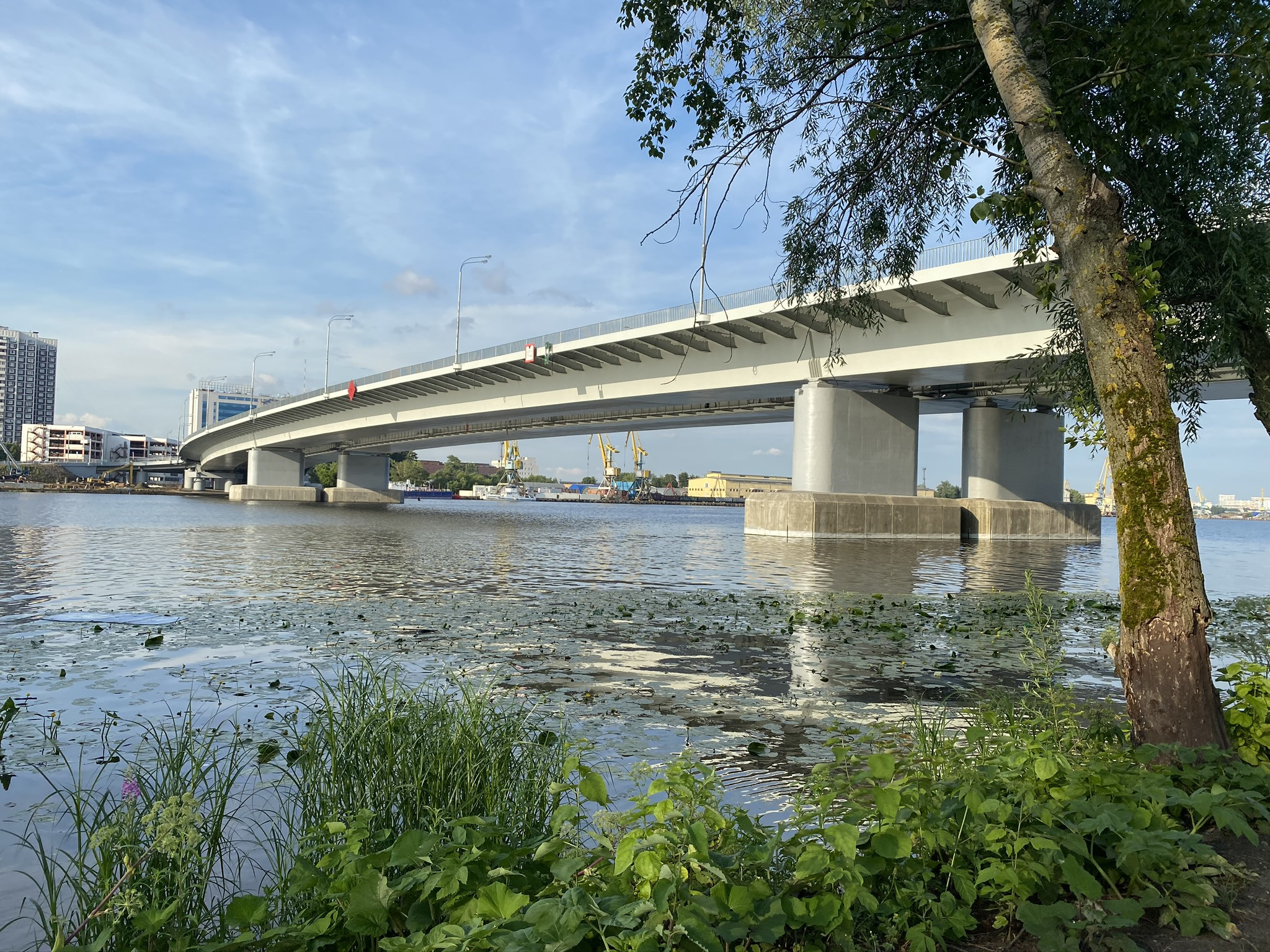 Вид с территории парка "Остров Мечты" на мост 2-го Южнопортового проезда – фотографии России