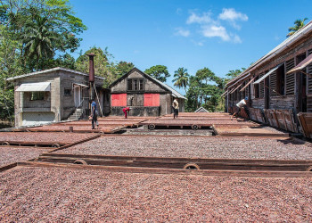 Dougaldston Spice Estate в Гренаде – фотографии Гренады