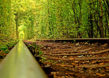 Ботаническое чудо тоннель любви (Tunnel of Love) в Ровенской области, Украина – фотографии Украины