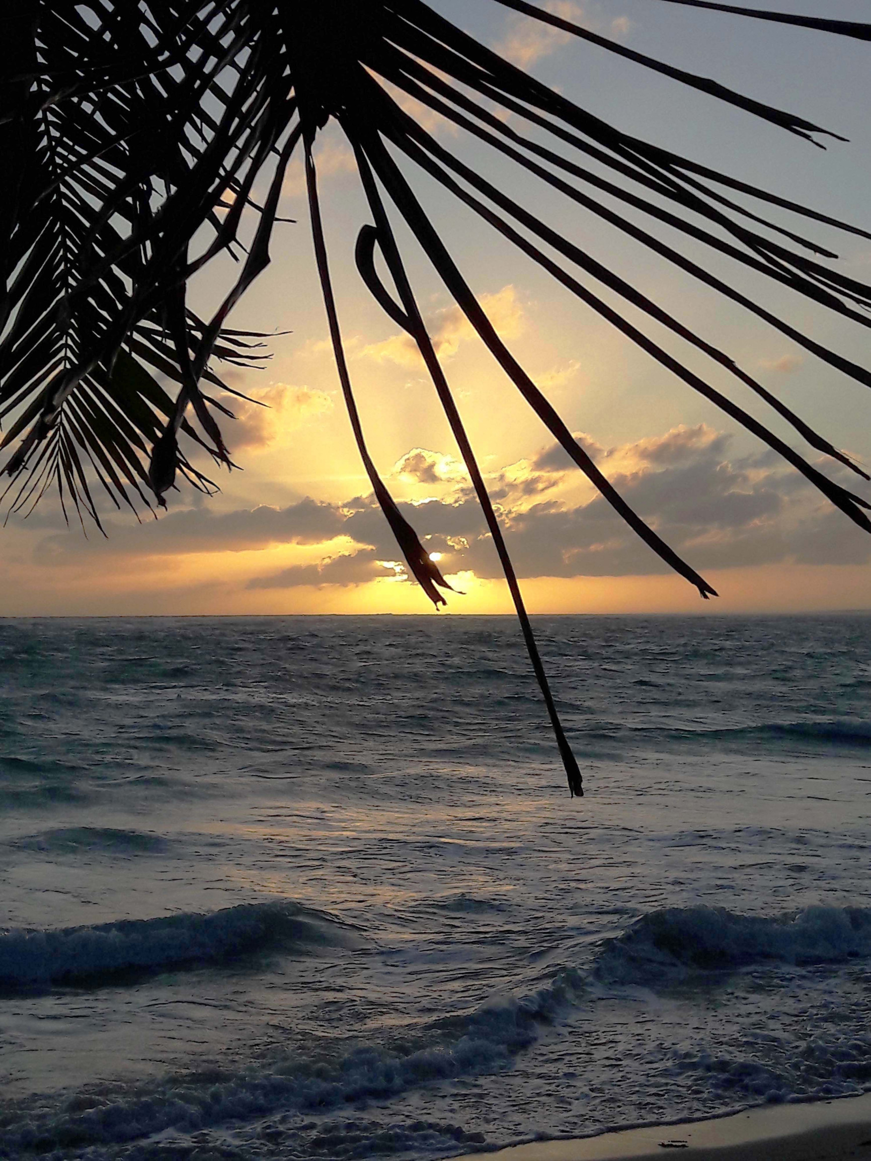 Пунта-Кана – фотографии Доминиканы