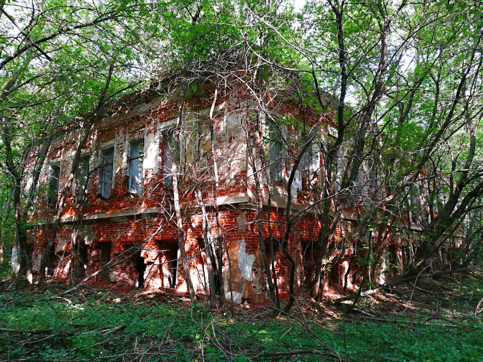 Усадьба Салтыкова. Фото – фотографии России