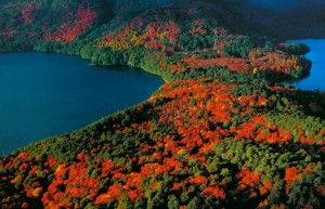 Разноцветные леса. Ланин национальный парк. Аргентина. – фотографии Аргентины