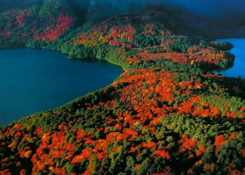 Разноцветные леса. Ланин национальный парк. Аргентина. – фотографии Аргентины