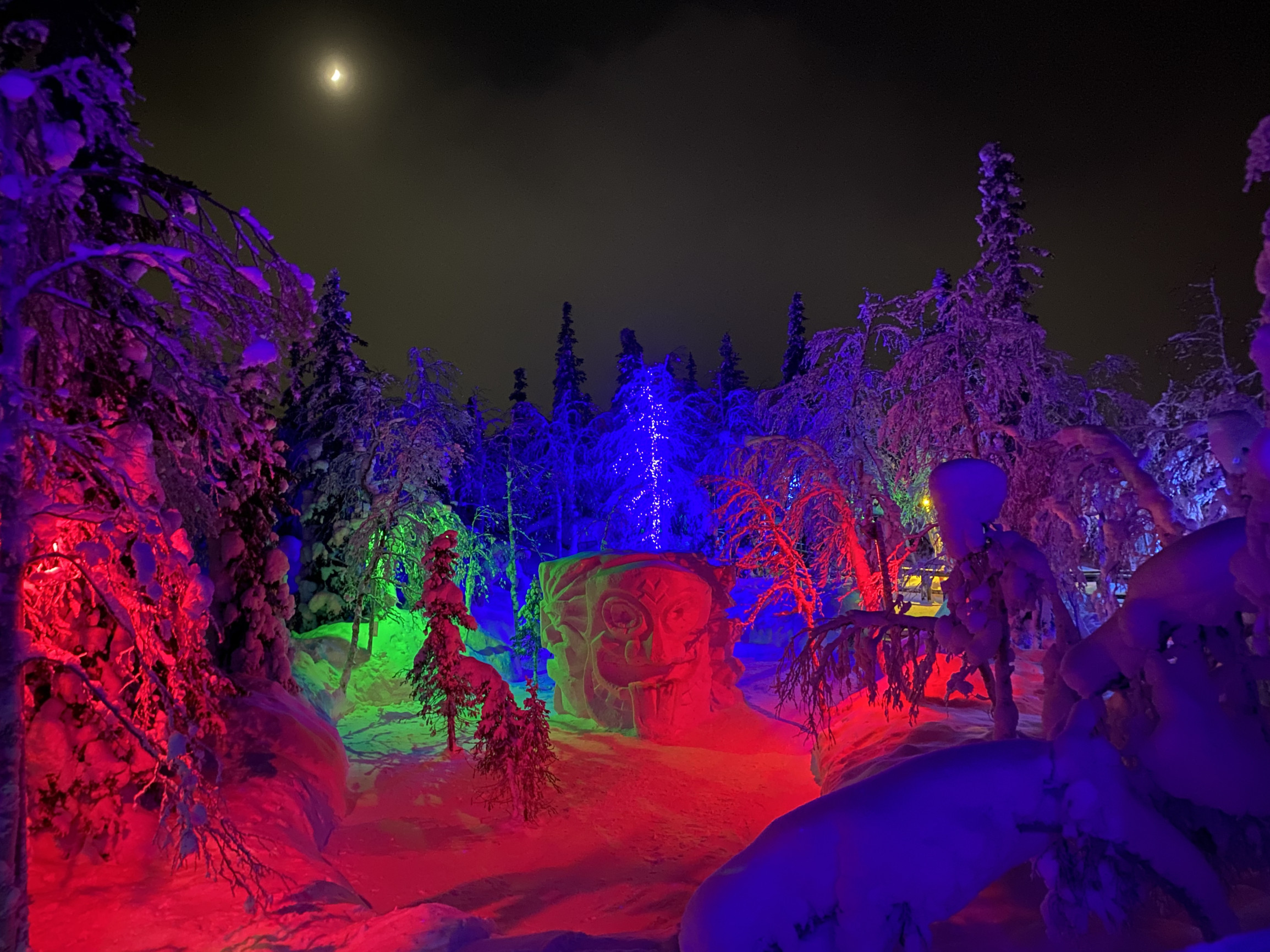 Ночная подсветка в парке «Таинственный лес», Кировск, Мурманская область – фотографии России