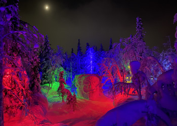 Ночная подсветка в парке «Таинственный лес», Кировск, Мурманская область – фотографии России