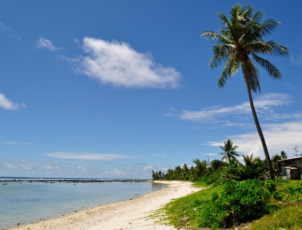 Штиль на побережье.Остров Науру – фотографии Науру