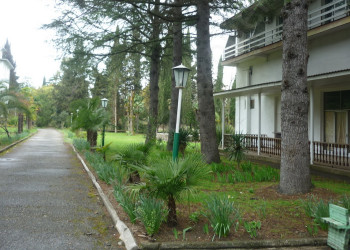 Местные улочки Гячрипш. Абхазия – фотографии Абхазии