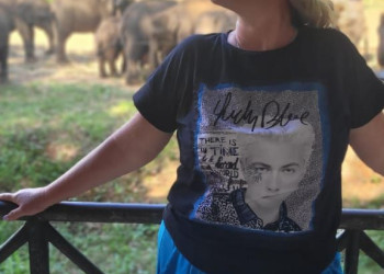 Слон – фотографии Шри-Ланки