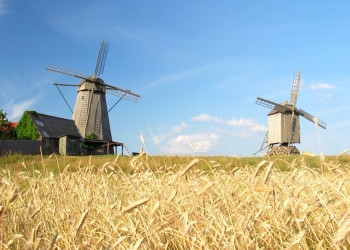 Мельницы острова Сааремаа – фотографии Эстонии