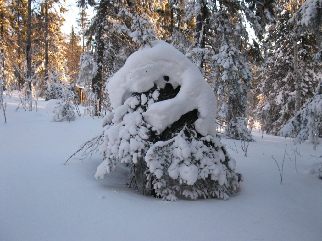 хр.Ицыл – фотографии