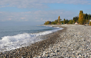 Пляж Цандрипш. Абхазия – фотографии Абхазии