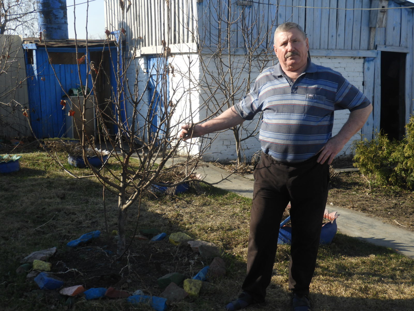 дома – фотографии России