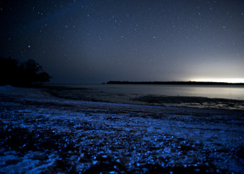 Светящийся пляж острова Ваадху на Мальдивах – фотографии Мальдивских островов