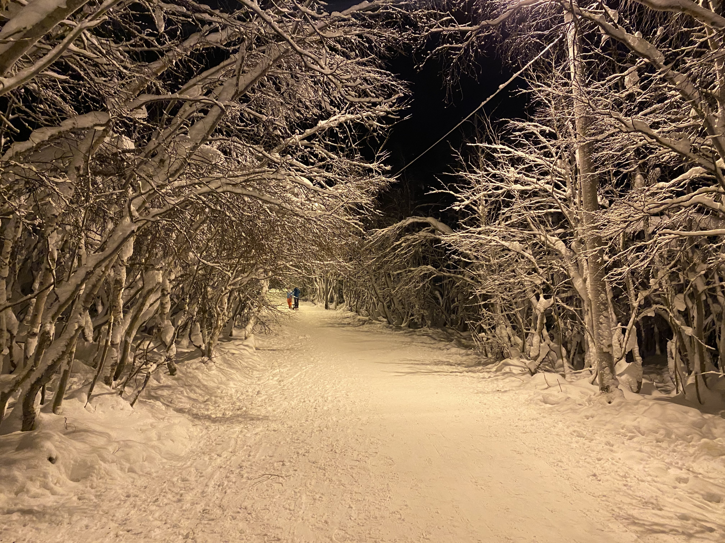 Городской парк в январе, Кировск – фотографии России
