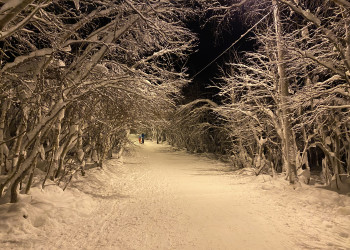 Городской парк в январе, Кировск – фотографии России