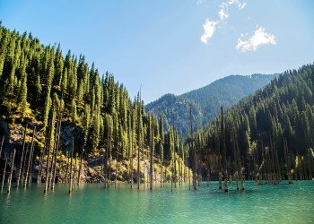 Озеро Каинди 8 – фотографии Казахстана