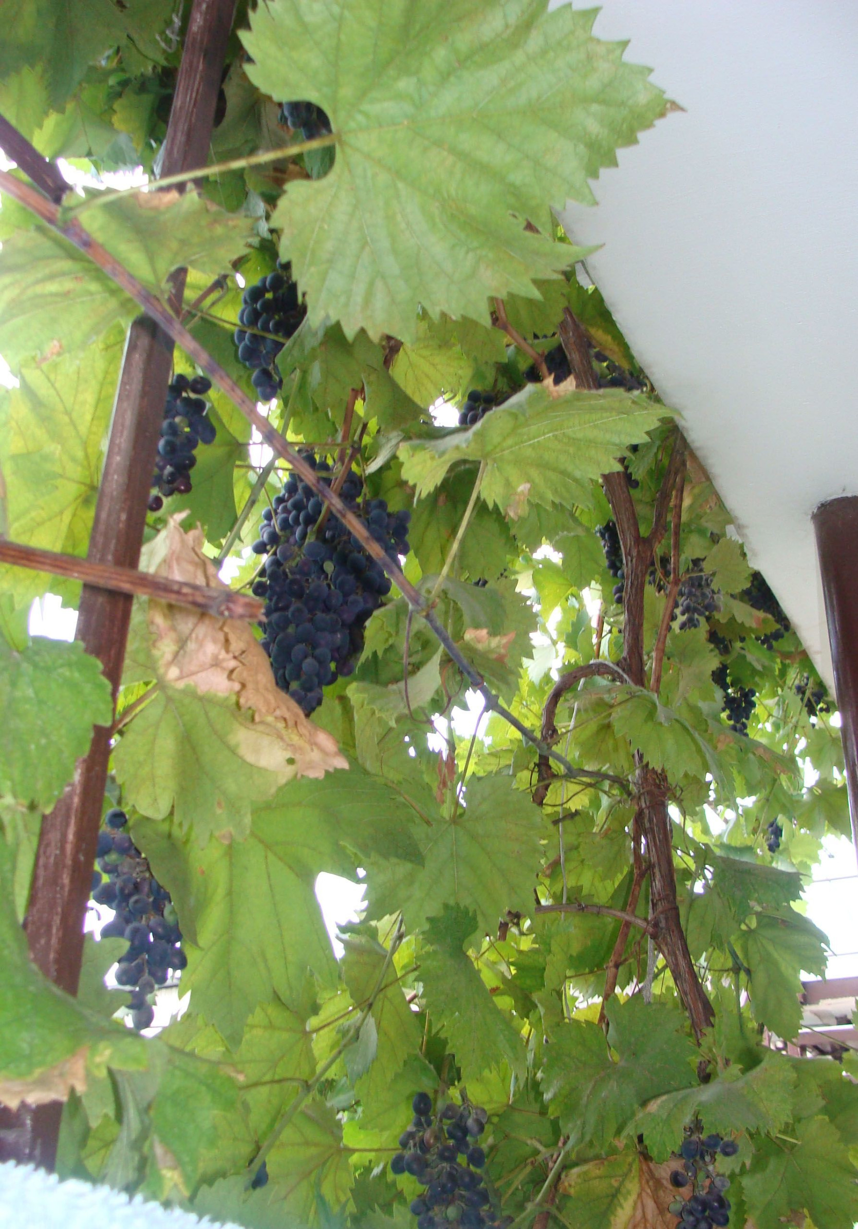 Геленджик – фотографии России