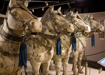 Археологическое открытие Терракотовая армия, Сиань, Китай – фотографии Китая