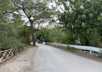 Дорожка вдоль пляжа Чиралы – фотографии Турции