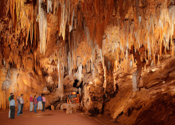 Уникальный сталактитовый орган (The Great Stalacpipe Organ), Вирджиния, США – фотографии США