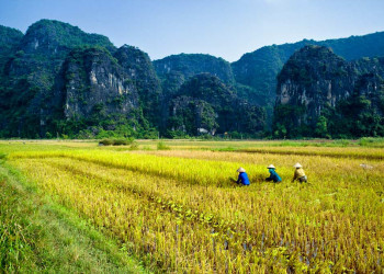 Природа провинции Ниньбинь – фотографии Вьетнама
