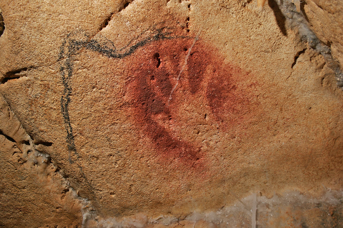 Пещера Шове во Франции – фотографии Франции