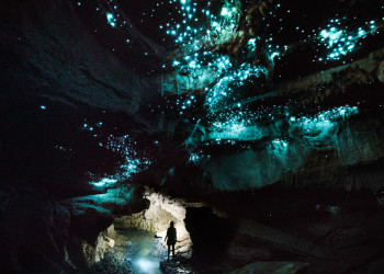 Светящиеся черви в пещерах Вайтомо питаются пауками, обеспечивая своё выживание – фотографии Новой Зеландии