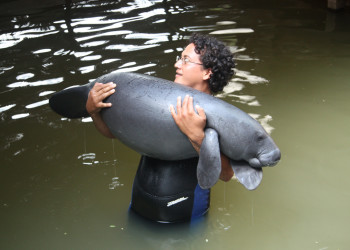 Центр спасения амазонских ламантинов – фотографии Перу