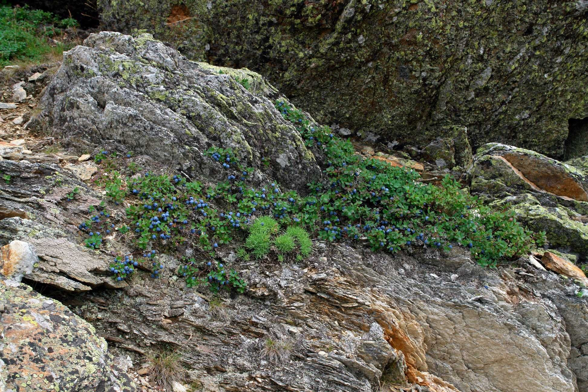 хр.Таганай – фотографии