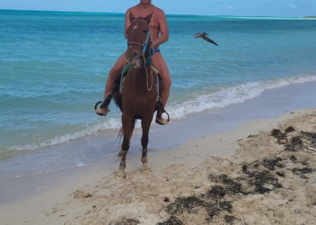 В этот Новый год! – фотографии Кубы