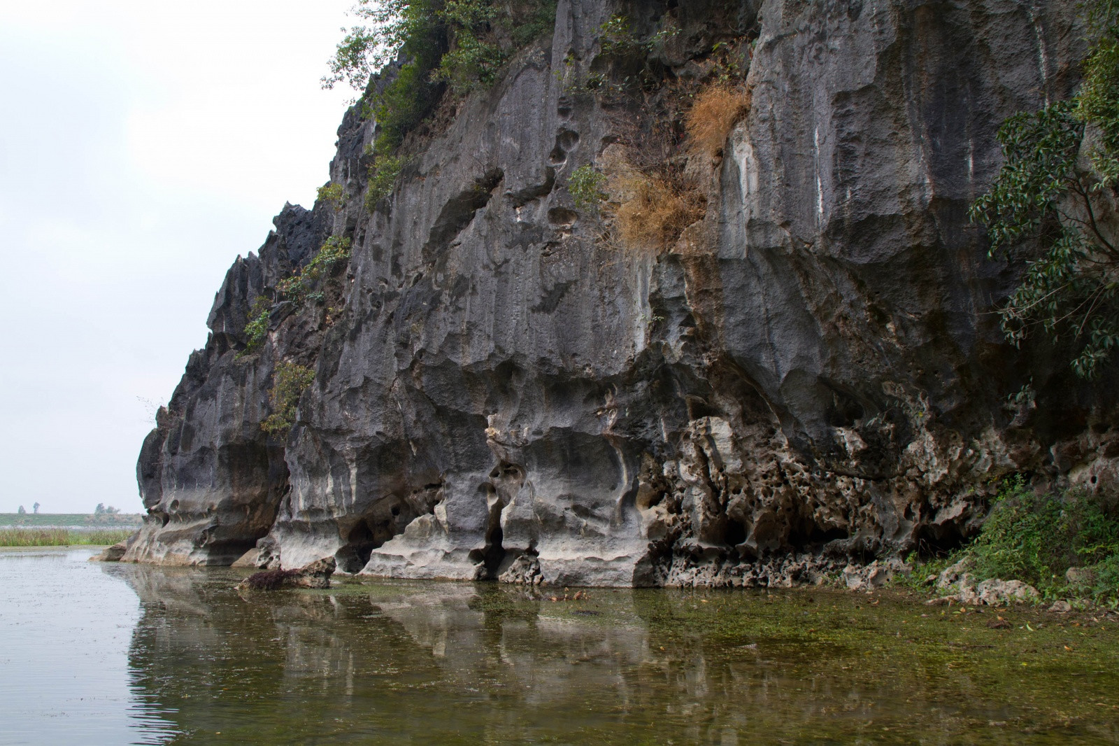 Природа заповедника Ван-Лонг – фотографии Вьетнама