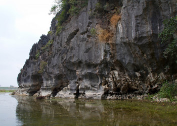 Природа заповедника Ван-Лонг – фотографии Вьетнама