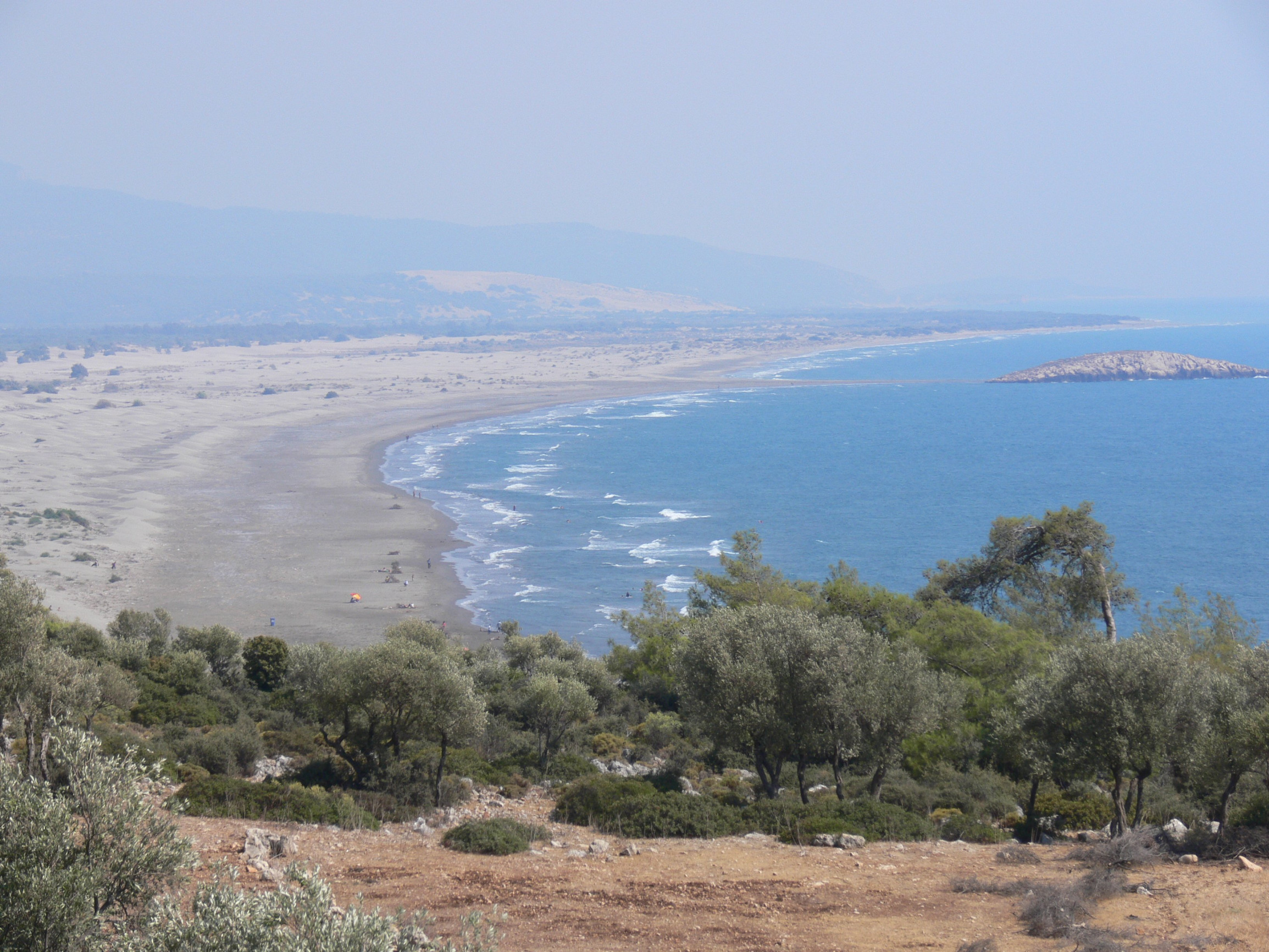 Лес на фоне берега моря. Очамчыра. Абхазия – фотографии Абхазии