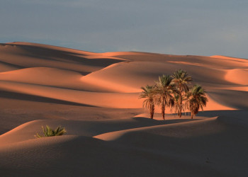 Оазис Убари 18 – фотографии Ливия