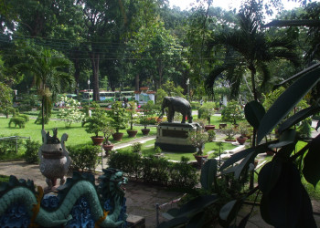 Сайгонский зоопарк – фотографии Вьетнама