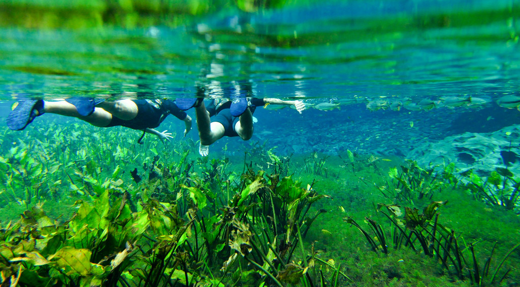 Природный аквариум (Aquario Natural) – фотографии Бразилии