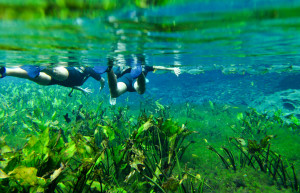 Природный аквариум (Aquario Natural) – фотографии Бразилии