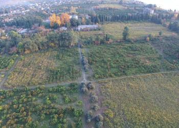 Полевые угодья. Эшера. Абхазия. – фотографии Абхазии