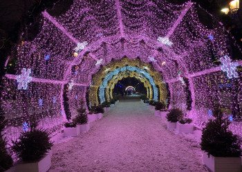 Тверской бульвар в Москве, новогодняя ночь 31 декабря 2020 – фотографии России