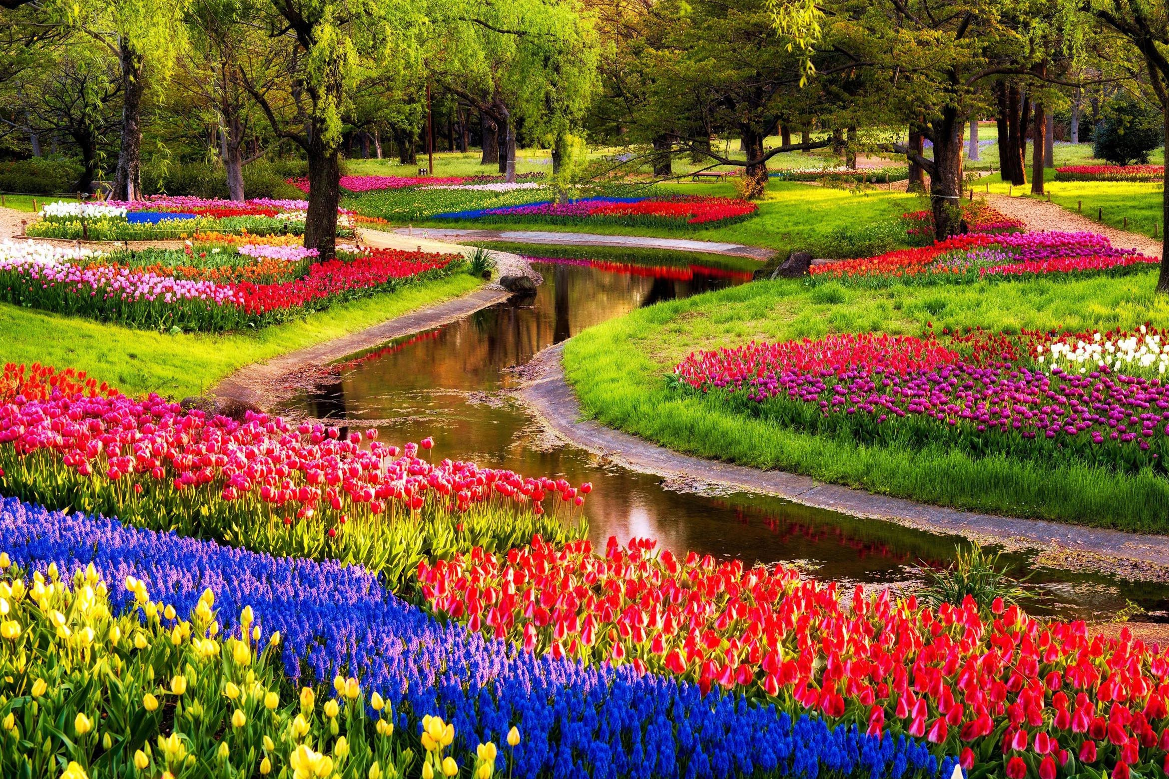 В 15 веке территории Парка Кёкенхоф были глухим лесом, который посещали только для охоты – фотографии Нидерландов