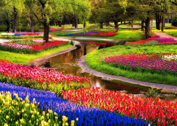 В 15 веке территории Парка Кёкенхоф были глухим лесом, который посещали только для охоты – фотографии Нидерландов