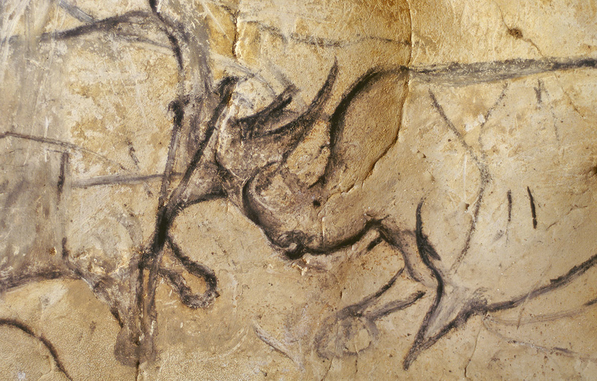 Пещера Шове, Авиньон, Франция – фотографии Франции