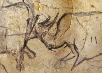 Пещера Шове, Авиньон, Франция – фотографии Франции