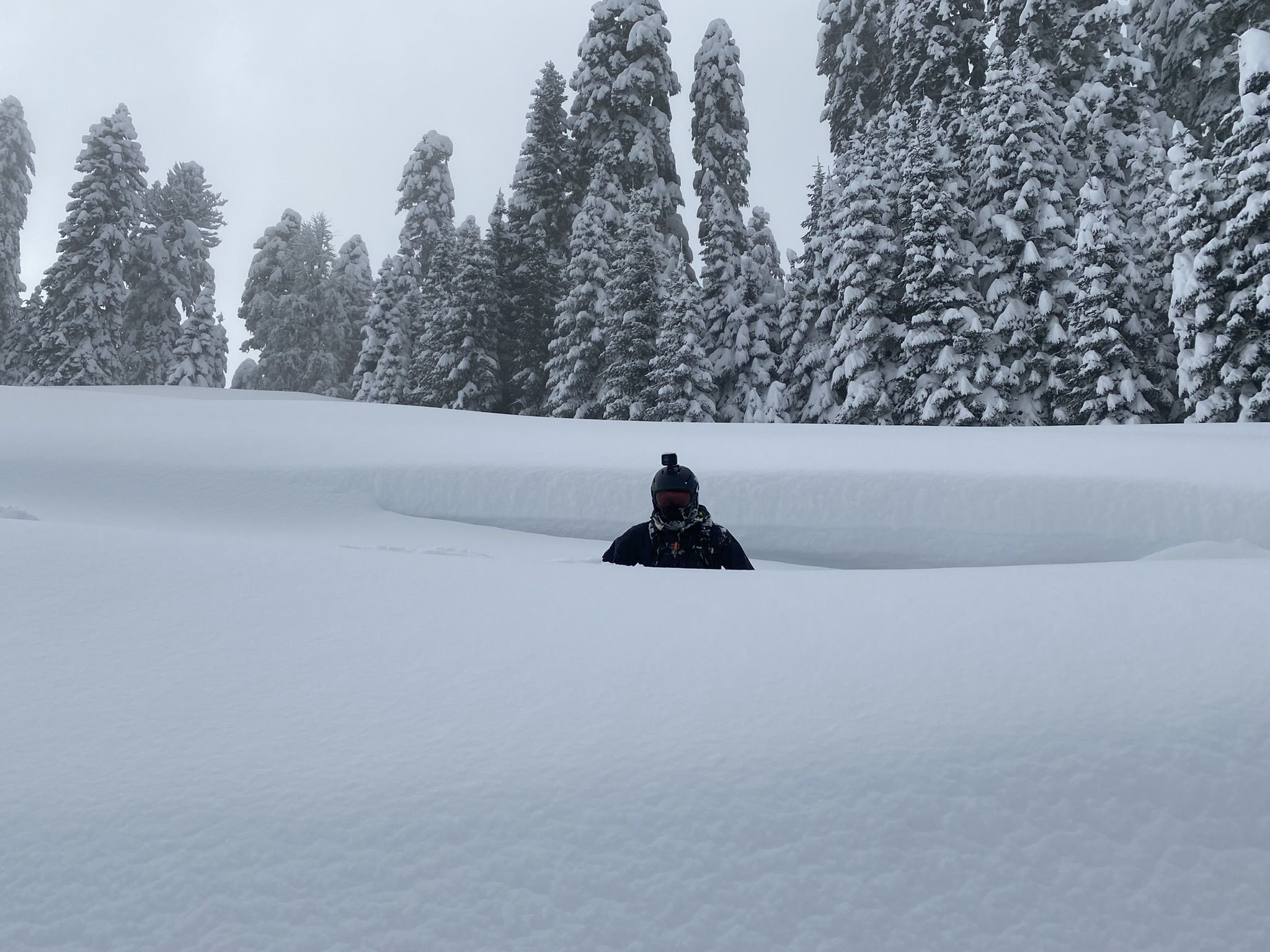 Трасса Календула на Южном склоне Роза Хутор, сноубордист в сугробе – фотографии России