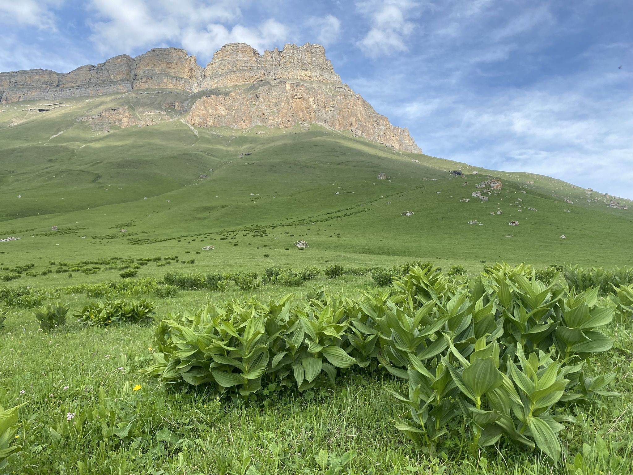Пейзажи перевала Актопрак, июнь – фотографии России