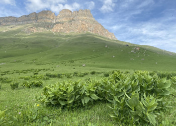 Пейзажи перевала Актопрак, июнь – фотографии России