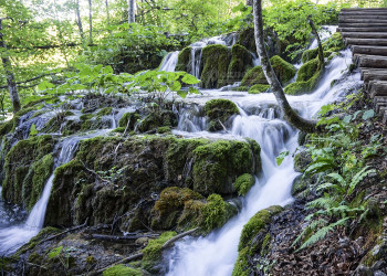 Национальный парк Плитвицкие озера 15 – фотографии Хорватии
