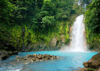 Тропа Сендеро-де-лос-Кетцалес в Панаме – фотографии Панамы